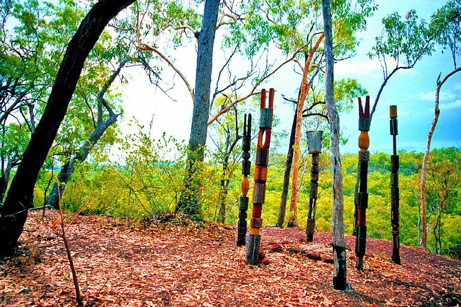Tiwi Islands Cultural Experience From Darwin Including Ferry - The Sum Up