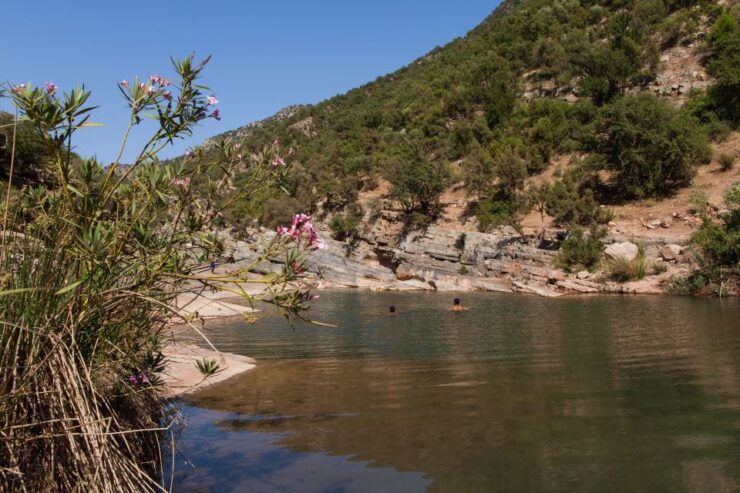 Tizgui Valley Half Day Guided Tour Including Hotel Pickup - Tour Duration & Language Options