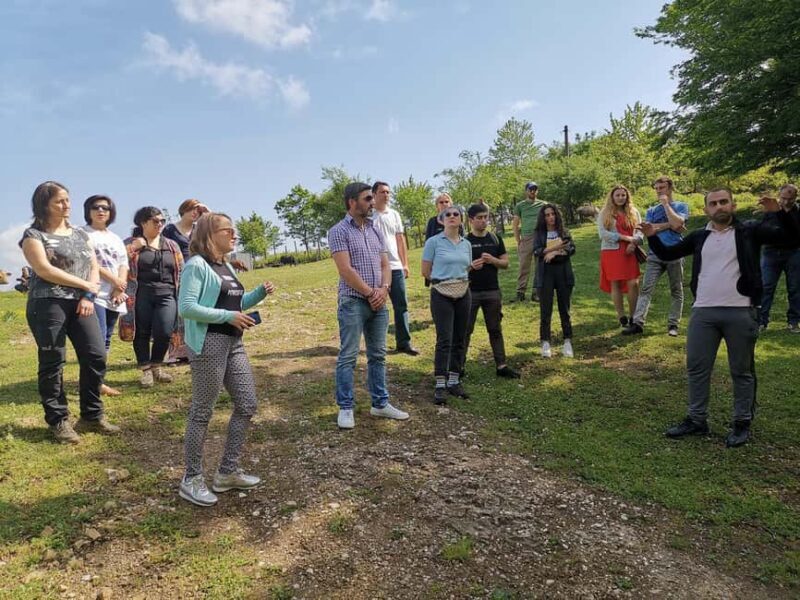 Tkibuli Day Trip with Wine & Tea Tasting from Kutaisi - Exploring the Itinerary: What to Expect on the Day