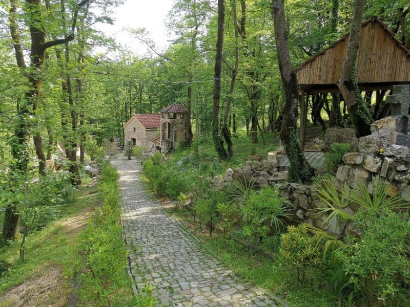 Tkibuli Day Trip with Wine & Tea Tasting from Kutaisi - Final Thoughts: Is This Tour Worth It?