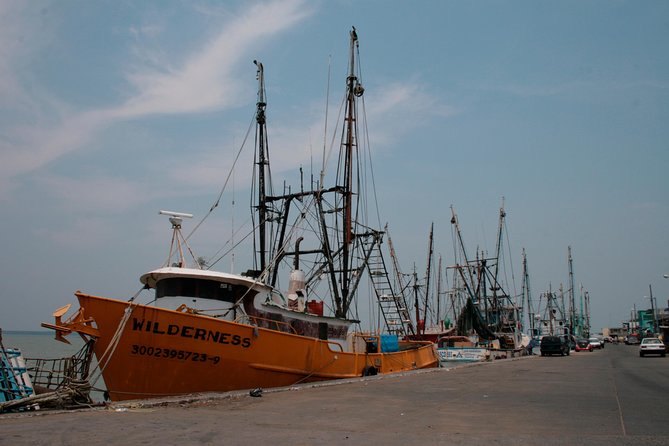 Tlacotalpan World Heritage Site and Alvarado Day Trip - Tlacotalpan World Heritage Site