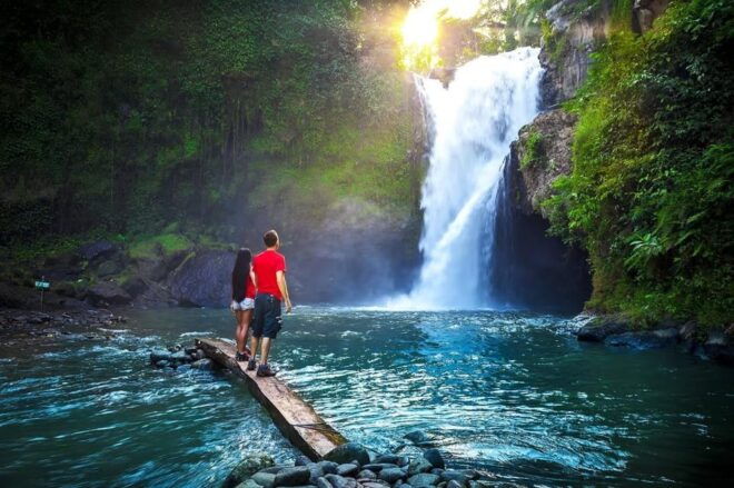 Tlaga Singha Ubud Infinity Pool+Monkey Forest + Water Fall - Restrictions and Recommendations
