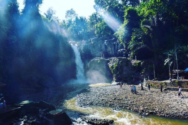 Tlaga Singha Ubud Infinity Pool+Monkey Forest + Water Fall - Customer Reviews and Feedback