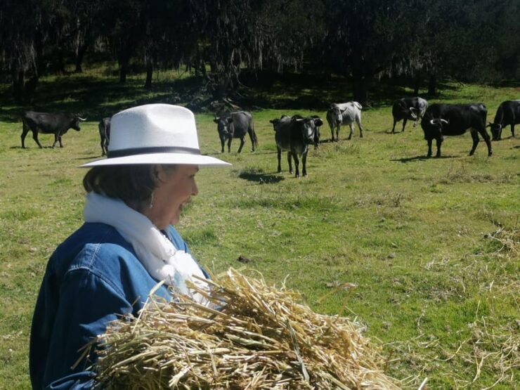 Tlaxcala Haciendas Tour - Itinerary