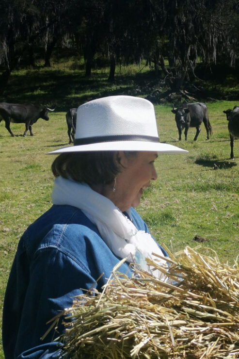 Tlaxcala Haciendas Tour - Itinerary