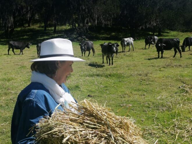 Tlaxcala Haciendas Tour - Culinary Experience