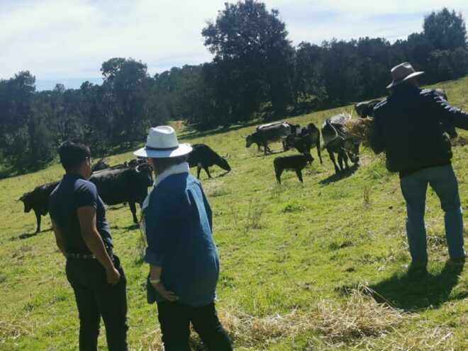 Tlaxcala Haciendas Tour - Cultural and Historical Insights