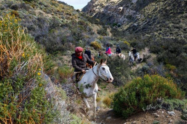 Tlaxco: a Horseback Ride Through Nature and Tradition - Frequently Asked Questions