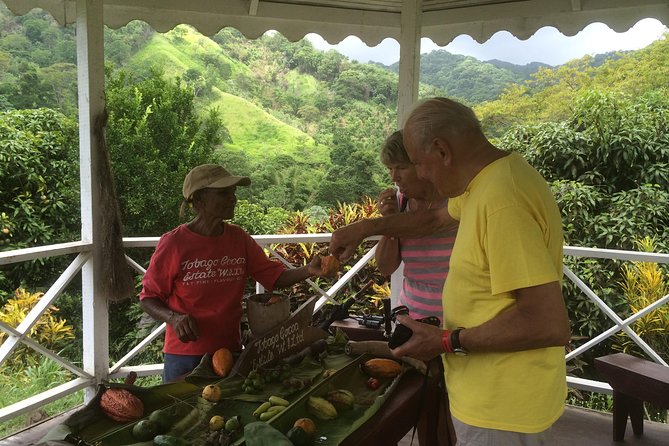 Tobago Bespoke Mount Irvine Excursion - Customizable Itinerary Highlights