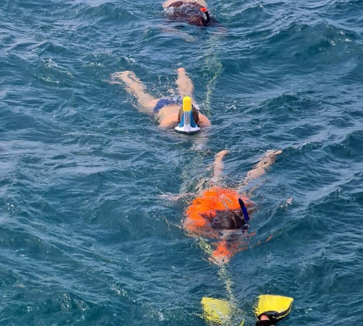 Tobago: Buccoo Reef and Nylon Pool Boat Tour with Transfer - Exploring the Details of the Tour