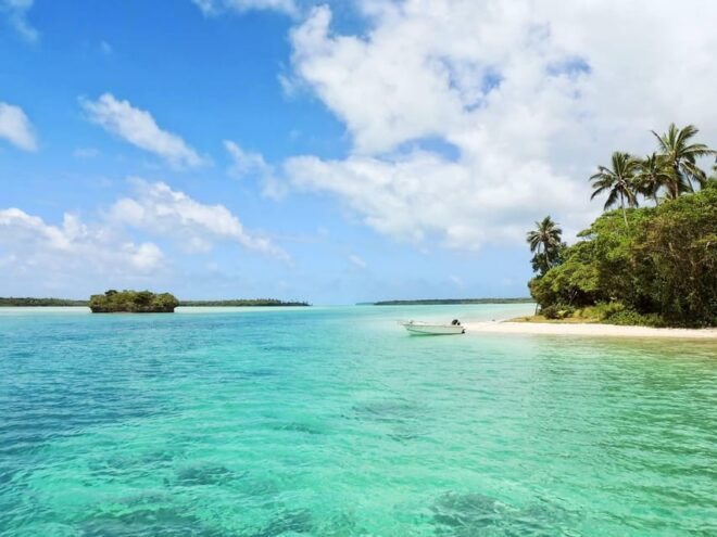 Tobago: Buccoo Reef Glass Bottom Boat Tour - Inclusions and Recommendations