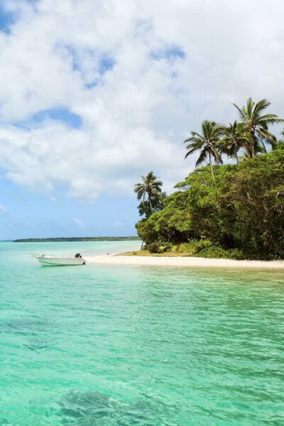 Tobago: Buccoo Reef Glass Bottom Boat Tour - Discovering Nylon Pool