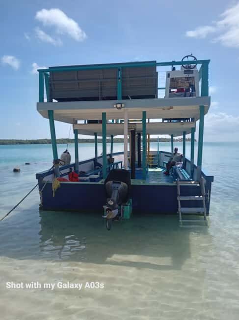 Tobago: Buccoo Reef Marine Park Glass Bottom Boat Tour - An In-Depth Look at the Buccoo Reef Experience
