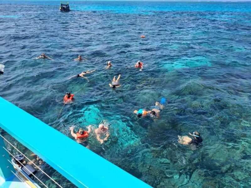 Tobago: Buccoo Reef Marine Park Glass Bottom Boat Tour - Practical Details and Tips