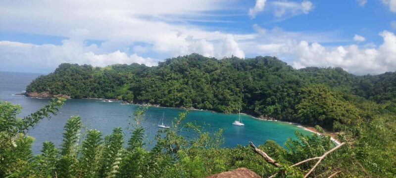 Tobago: Caribbean Coast Tour with Waterfall Swim - Good To Know