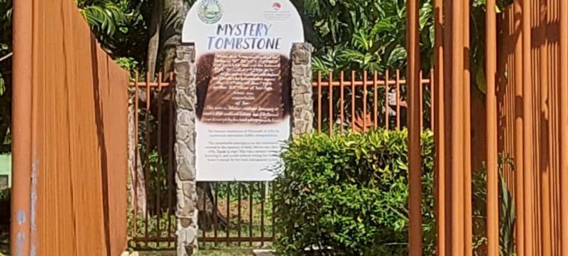 Tobago: Caribbean Coast Tour with Waterfall Swim - An In-Depth Look at the Tobago Caribbean Coast Tour