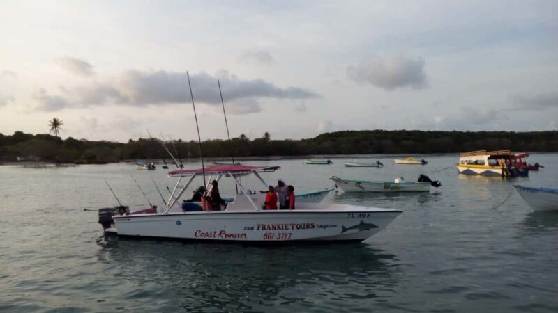 Tobago: Coastal Boat Tour with Snorkeling and Rum Punch - Introduction: A Coastal Adventure in Tobago