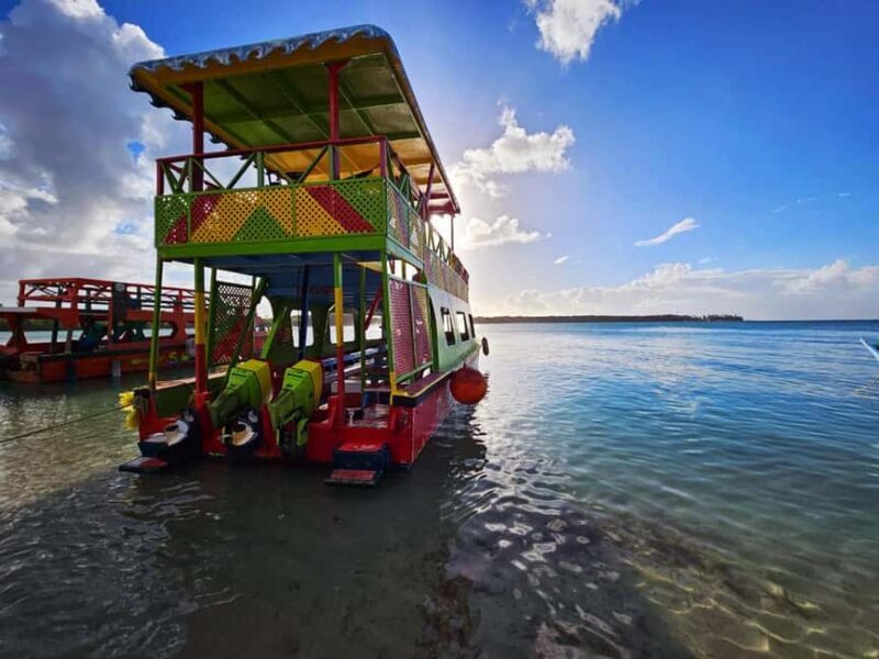 Tobago: Coral Reef Boat Tour with BBQ and Transfer - Good To Know