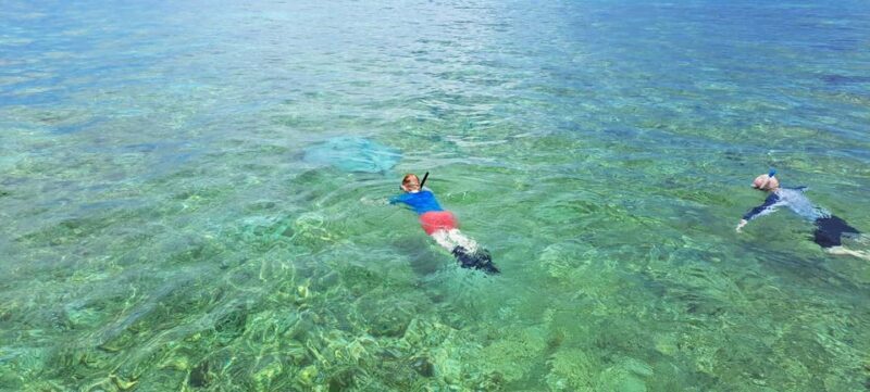 Tobago: Coral Reef Boat Tour with BBQ and Transfer - Authentic Traveler Experiences