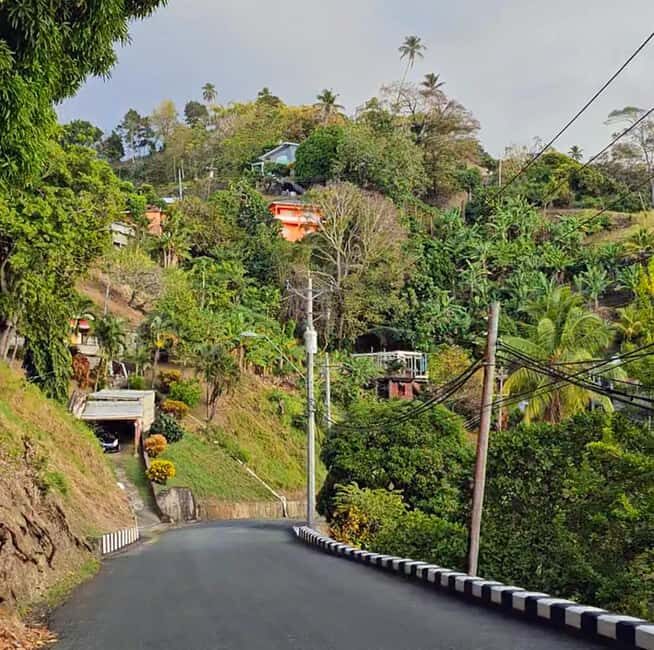 Tobago: Full Day Atlantic Coast Tour with Lunch - Frequently Asked Questions