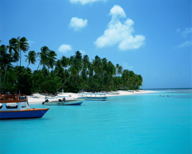 Tobago: Glass Bottom Boat & Highlights Tour - Tour Experience