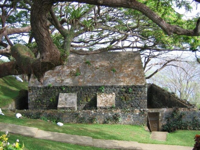 Tobago: Glass Bottom Boat & Highlights Tour - Important Information