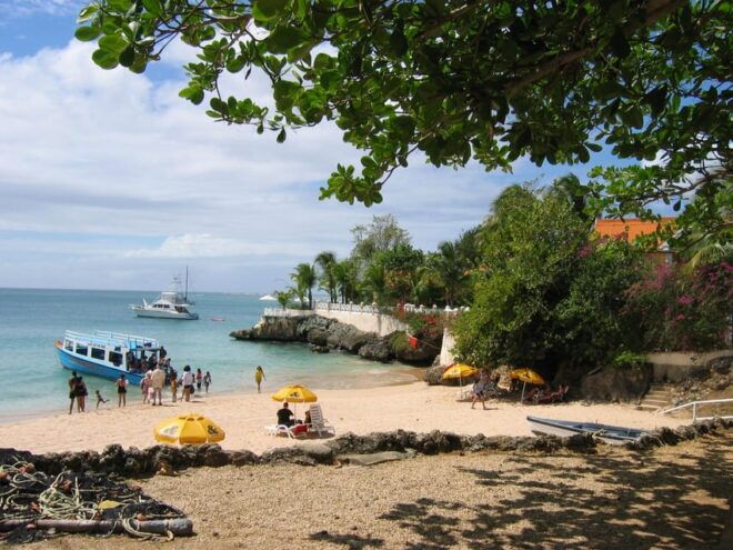 Tobago: Glass Bottom Boat & Highlights Tour - Snorkeling and Swimming