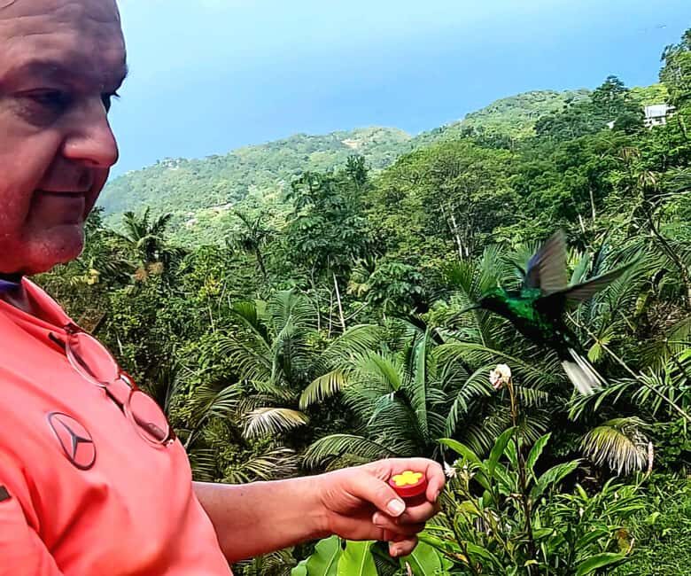 Tobago: Hummingbird Tour - Who Is This Tour Best For?