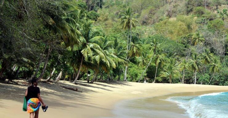 Tobago: Island Circle - Main Ridge Rainforest