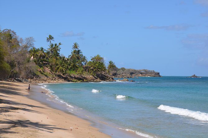 Tobago Island Tour - Tobago Island Tour: An In-Depth Look at a Full-Day Adventure