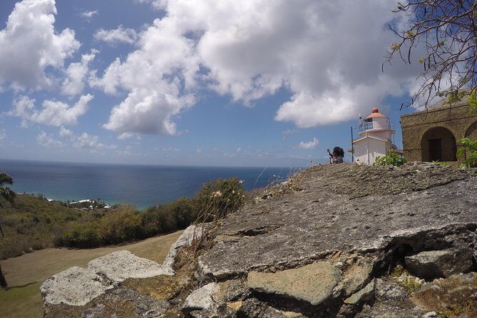 Tobago Island Tour - Who Is This Tour Best For?