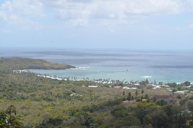 Tobago Island Tour - Final Thoughts