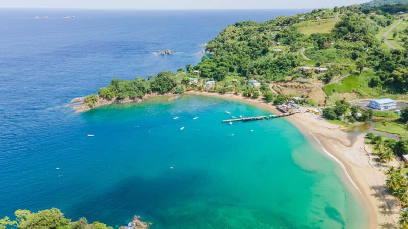 Tobago: Island Tour with Rainforest Drive and Scenic Lookout - Good To Know