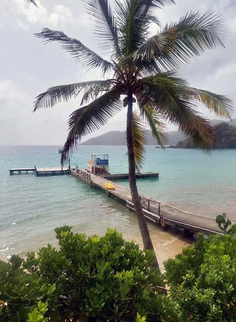 Tobago: Little Tobago Bird Sanctuary Visit and Boat Tour - An overview of what makes this tour special