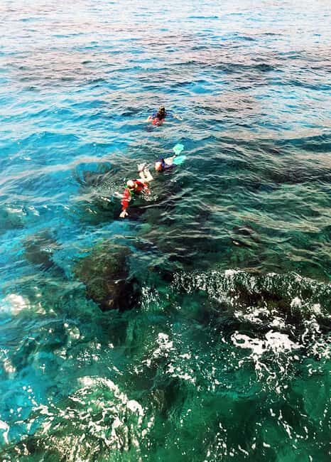 Tobago: Little Tobago Bird Sanctuary Visit and Boat Tour - The experience through the eyes of previous travelers