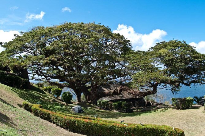 Tobago Round the Island Small Group Tour - Questions and Help