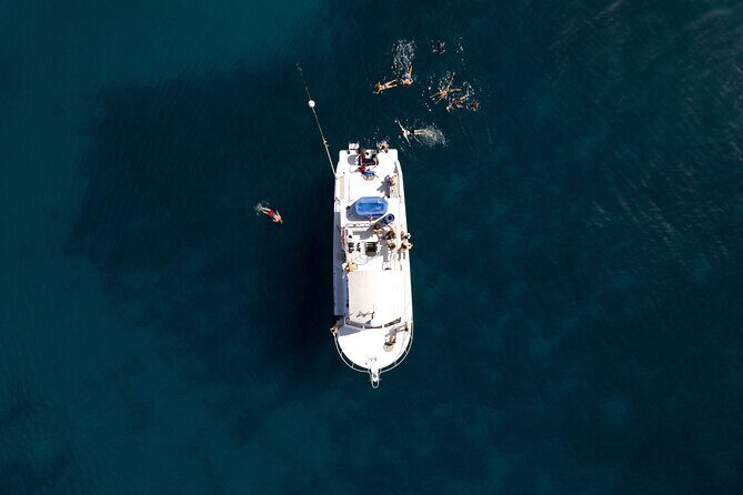 Tobias Icacos Half Day Tour - Possible Drawbacks and Considerations