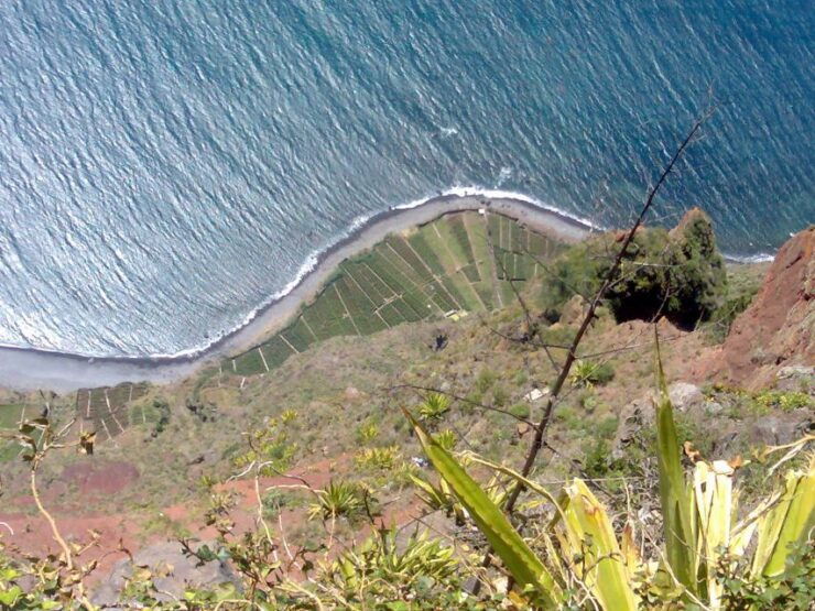 Toboggan Ride & Madeira Wine Tasting Tour - Tour Highlights