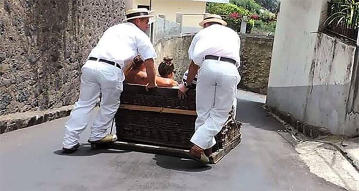 Toboggan Ride & Madeira Wine Tasting Tour - Experience Itinerary