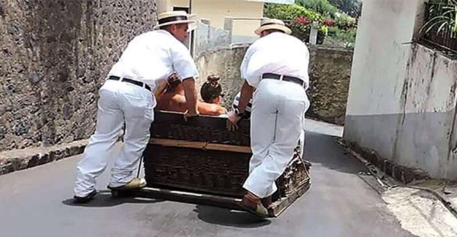 Toboggan Ride & Madeira Wine Tasting Tour - Inclusions