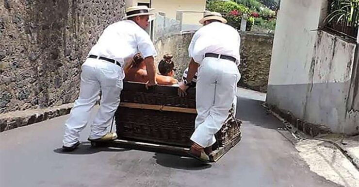 Toboggan Ride & Madeira Wine Tasting Tour - Booking Information and Flexibility