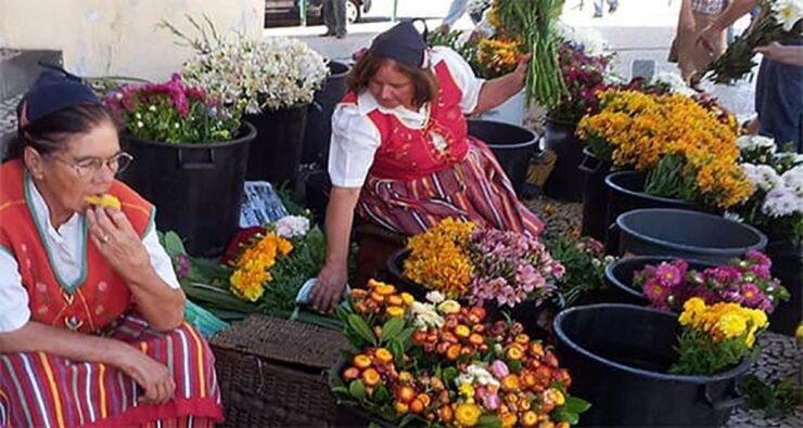 Toboggan Ride & Madeira Wine Tasting Tour - Tour Details