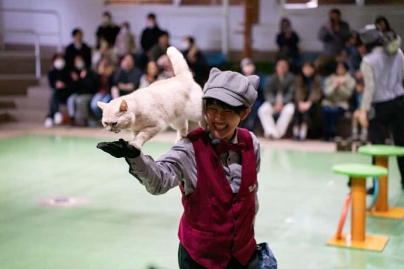 Tochigi: Nasu Animal Kingdom Entry Ticket - Good To Know