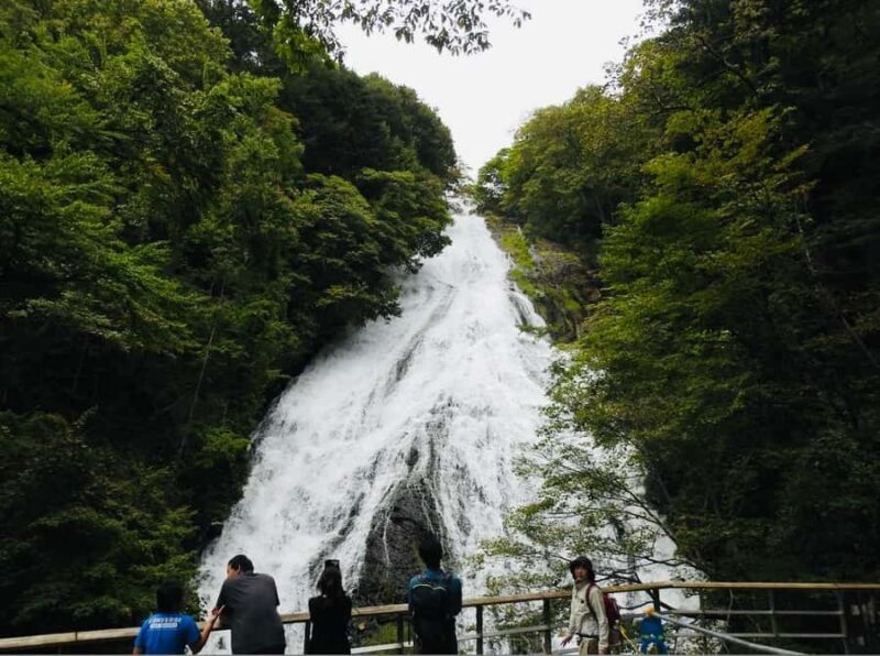 Tochigi: Nikko City, Waterfalls, & Ropeway Tour - An In-Depth Look at the Nikko Day Tour
