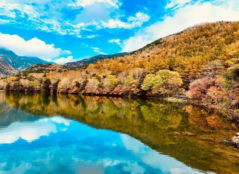 Tochigi: Nikko City, Waterfalls, & Ropeway Tour - Who Is This Tour Best Suited For?