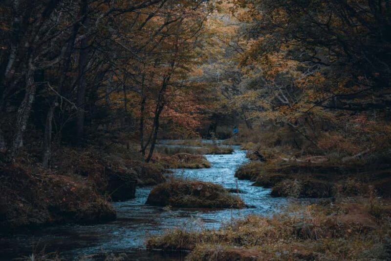 Tochigi: Nikko Private Tour with Driver & Hotel Pickup - The Itinerary: What You Can Expect