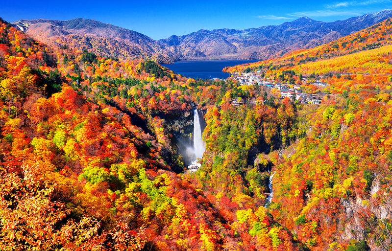 Tochigi Nikko Secret Scenic Spots | Toshogu Shrine, Iroha-zaka, Lake Chuzenji, Kegon Falls Day Tour | Departing from Tokyo/Shinjuku - From Tokyo to Nikko’s cedar-covered shrine grounds