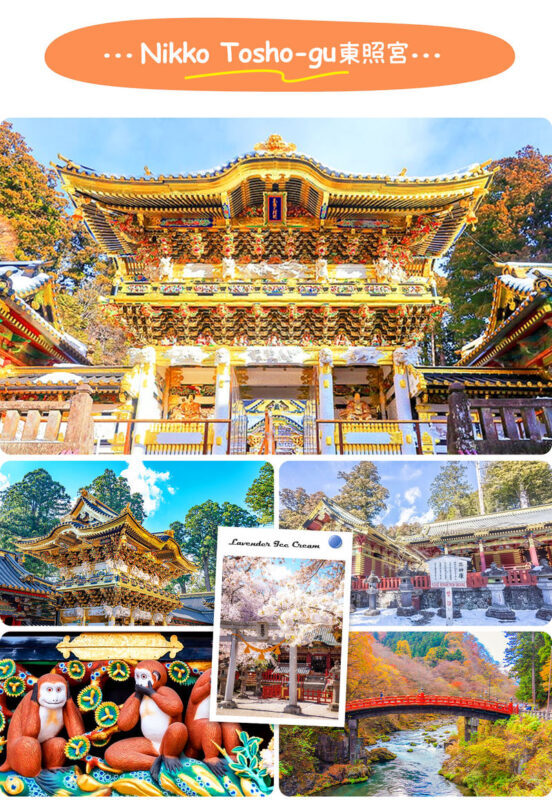 Tochigi Nikko Secret Scenic Spots | Toshogu Shrine, Iroha-zaka, Lake Chuzenji, Kegon Falls Day Tour | Departing from Tokyo/Shinjuku - What the $53.69 starting price covers