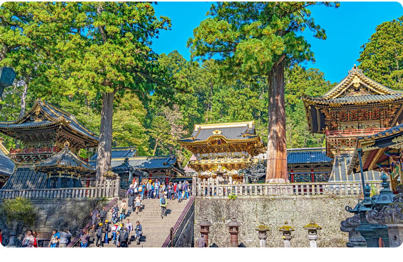 Tochigi Nikko Secret Scenic Spots | Toshogu Shrine, Iroha-zaka, Lake Chuzenji, Kegon Falls Day Tour | Departing from Tokyo/Shinjuku - Seasonal timing, weather and practical trade-offs