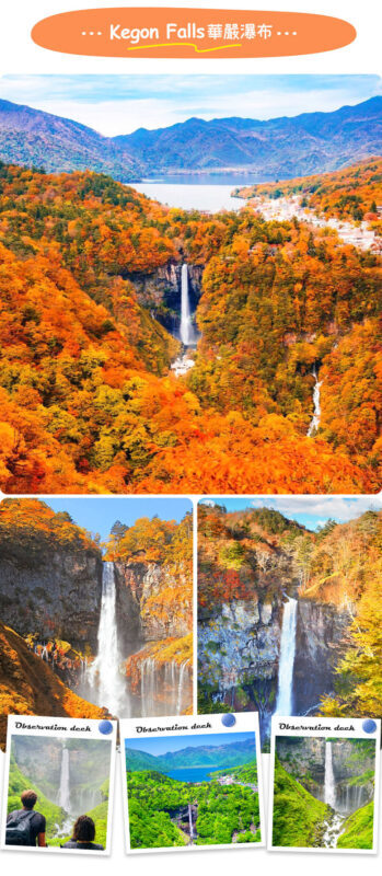 Tochigi Nikko Secret Scenic Spots | Toshogu Shrine, Iroha-zaka, Lake Chuzenji, Kegon Falls Day Tour | Departing from Tokyo/Shinjuku - Who will get the most from this Nikko day trip